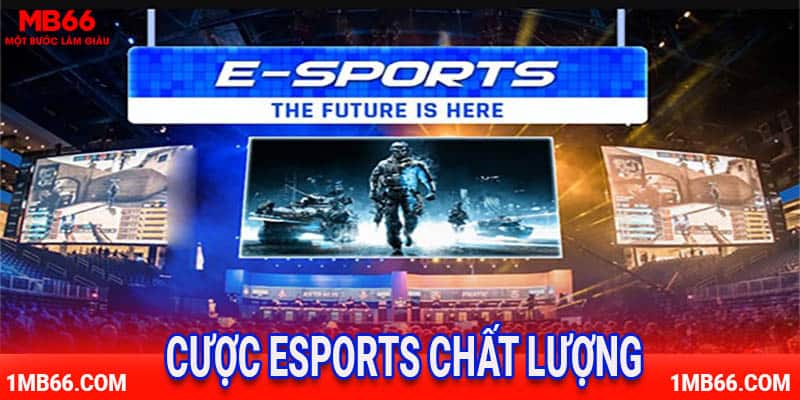 Cá cược thể thao điện tử esports chất lượng