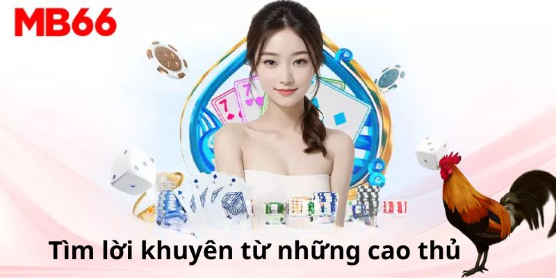 Tìm lời khuyên từ những cao thủ trong lĩnh vực này