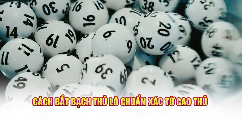 Cách bắt bạch thủ lô chuẩn xác từ cao thủ